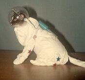 Spacecat